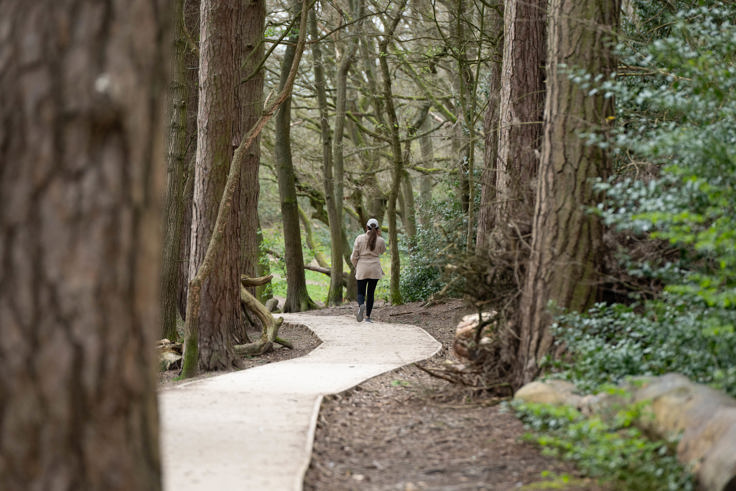 Person walking along a winding woodland path surrounded by tall trees.